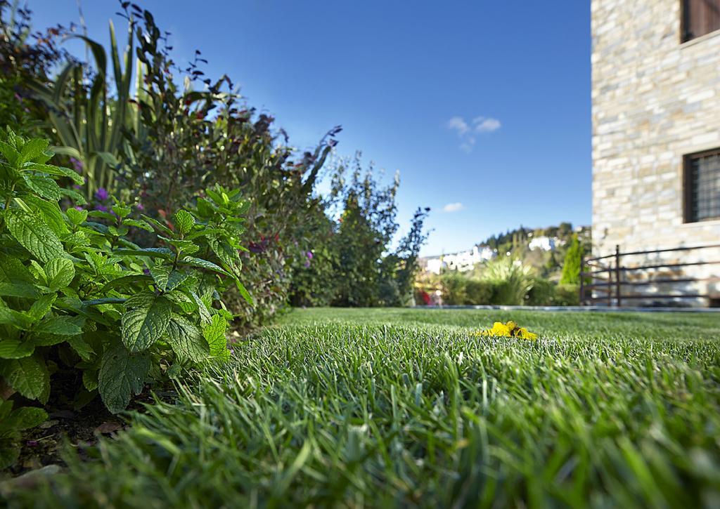 Stevalia Hotel & Spa Katochori Zewnętrze zdjęcie